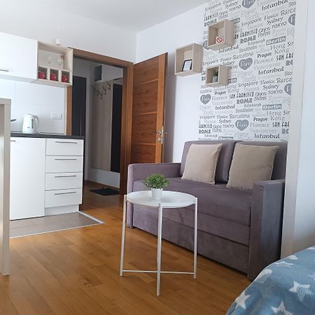 Apartments Karamarkovic Vrnjačka Banja Oda fotoğraf